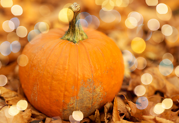 Image showing pumpkin on foliage at autumn park