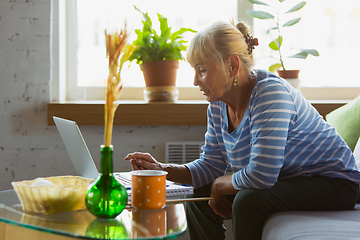 Image showing Senior woman studying at home, getting online courses