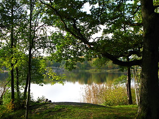 Image showing Autumn at the lake