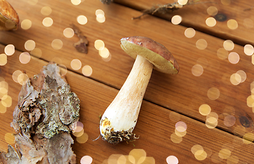 Image showing boletus edulis mushroom and pine bark on wood