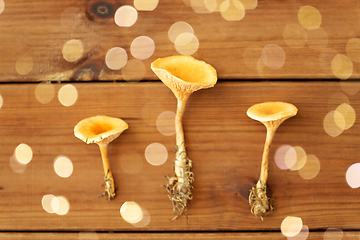 Image showing chanterelles on wooden background