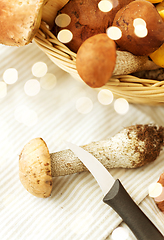 Image showing basket of different edible mushrooms and knife