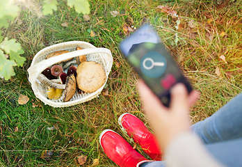 Image showing hand with mushrooms using search app on smartphone