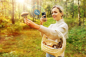 Image showing woman using smartphone to identify mushroom