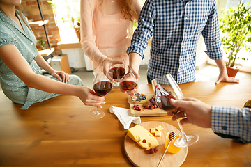 Image showing People clinking glasses with wine or champagne. Happy cheerful friends celebrate holidays, meeting. Close up shot of smiling friends, lifestyle