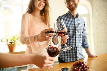 Image showing People clinking glasses with wine or champagne. Happy cheerful friends celebrate holidays, meeting. Close up shot of smiling friends, lifestyle