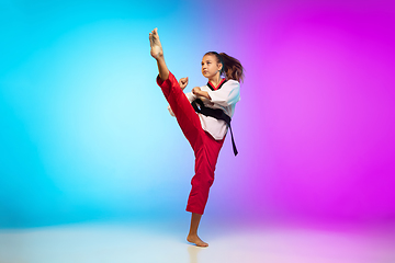 Image showing Karate, taekwondo girl with black belt isolated on gradient background in neon light