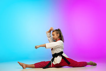 Image showing Karate, taekwondo girl with black belt isolated on gradient background in neon light