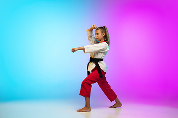 Image showing Karate, taekwondo girl with black belt isolated on gradient background in neon light