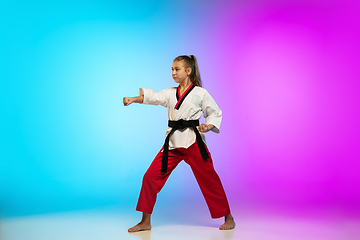 Image showing Karate, taekwondo girl with black belt isolated on gradient background in neon light