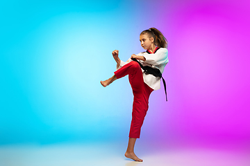 Image showing Karate, taekwondo girl with black belt isolated on gradient background in neon light