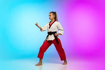 Image showing Karate, taekwondo girl with black belt isolated on gradient background in neon light