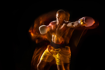 Image showing Professional boxer training isolated on black studio background in mixed light