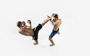 Image showing Two professional MMA fighters boxing isolated on white studio background, dynamic and motion. Top view