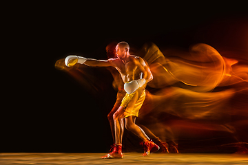 Image showing Professional boxer training isolated on black studio background in mixed light