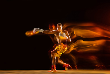 Image showing Professional boxer training isolated on black studio background in mixed light