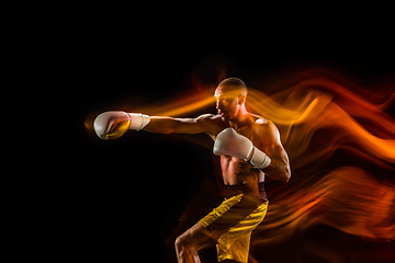 Image showing Professional boxer training isolated on black studio background in mixed light