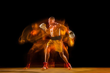 Image showing Professional boxer training isolated on black studio background in mixed light