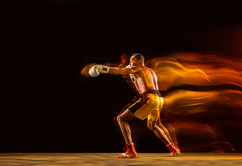 Image showing Professional boxer training isolated on black studio background in mixed light