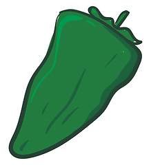 Image showing Green pepper, vector or color illustration.