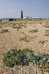 Image showing Lighthouse