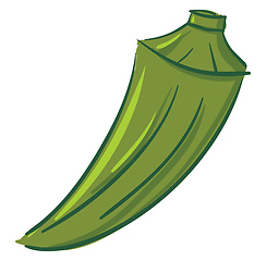 Image showing Green okra, vector or color illustration.