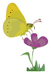 Image showing A yellow butterfly on a flower in a , vector or color illustrati