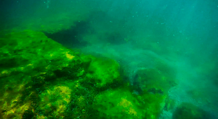 Image showing Underwater landscape in the sea.