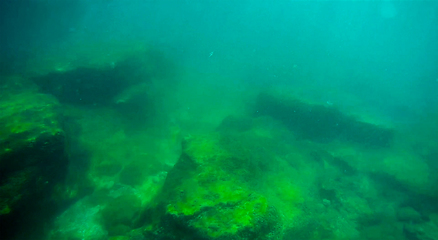 Image showing Underwater landscape in the sea.