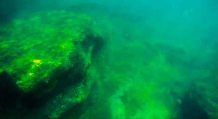 Image showing Underwater landscape in the sea.