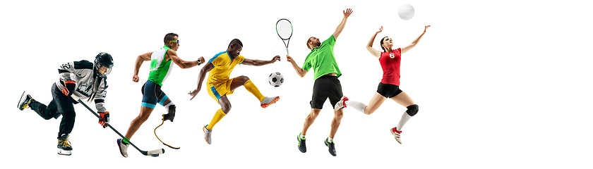 Image showing Sport collage of professional athletes or players isolated on white background, flyer