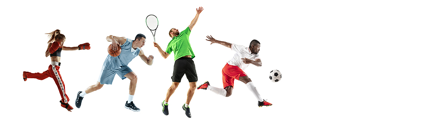 Image showing Sport collage of professional athletes or players isolated on white background, flyer