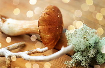 Image showing boletus mushrooms, moss, branch and bark on wood