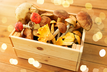 Image showing wooden box of different edible mushrooms