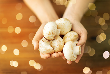 Image showing close up of female hands holding champignons