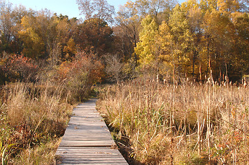 Image showing wilderness ramp 189