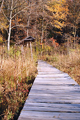 Image showing wilderness ramp 190