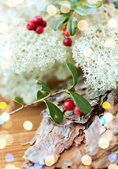 Image showing close up of cowberry and reindeer lichen moss