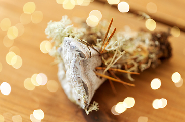 Image showing hydnellum fungus on wooden background