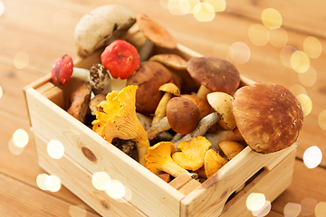 Image showing wooden box of different edible mushrooms