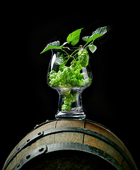 Image showing fresh hop plant cones in craft beer glass 