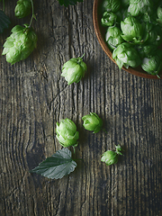 Image showing fresh green hop plant cones