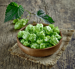 Image showing bowl of fresh green hop plant cones