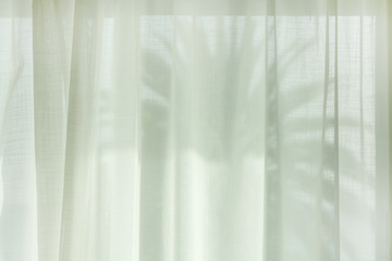 Image showing palm tree silhouette through the curtains