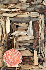 Image showing Driftwood and Scallop Shell Abstract Seaside Art  