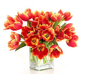 Image showing Mothers Day and Spring Red Tulip Flower Arrangement