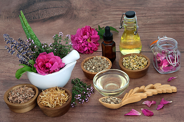 Image showing Herbal Medicine for Natural Skincare Beauty Treatments