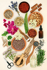 Image showing Natural Herbal Remedies for Good Health