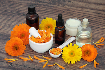 Image showing Calendula Flowers for Aromatherapy Essential Oil