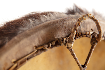 Image showing A close up of hands playing the tambourine, percussion on white studio background